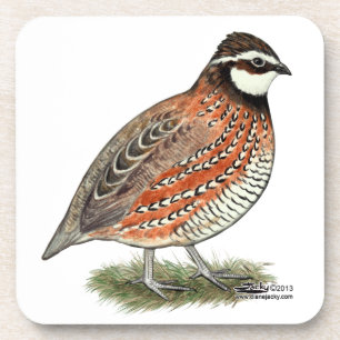 Porta-copo Rooster Bobwhite Quail