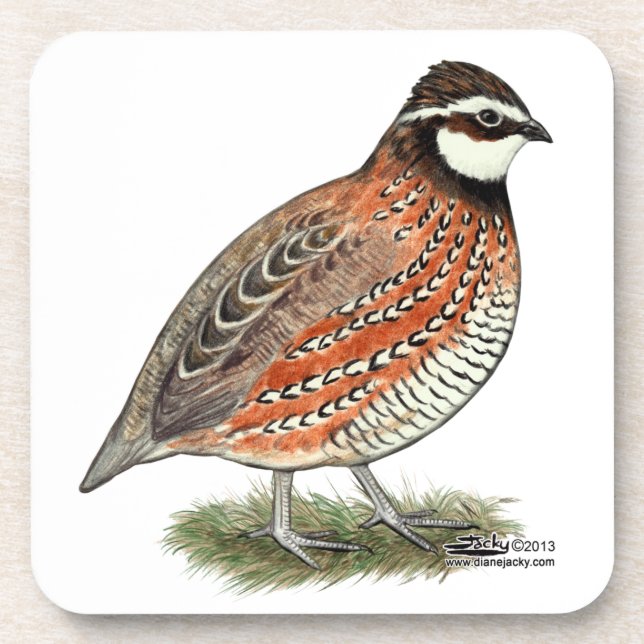 Porta-copo Rooster Bobwhite Quail (Frente)