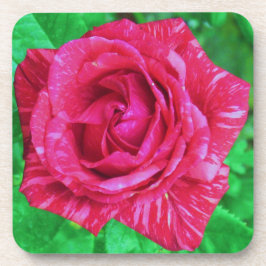 Porta-copo Rosa