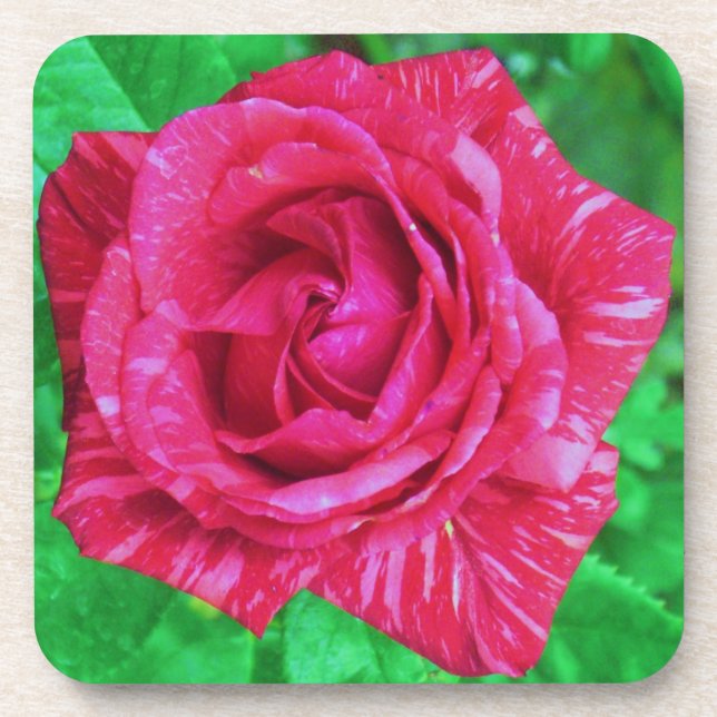 Porta-copo Rosa (Frente)