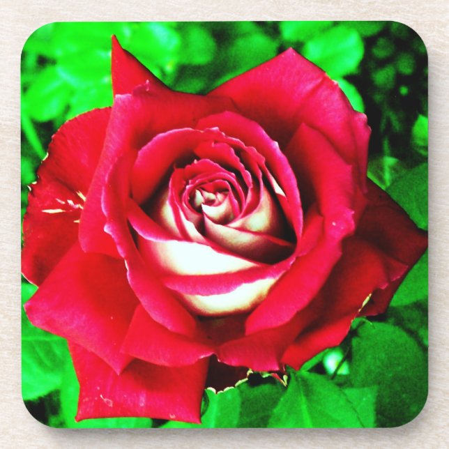 Porta-copo Rosa (Frente)