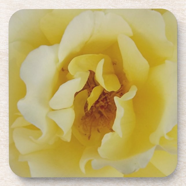 Porta-copo Rosa Amarela (Frente)