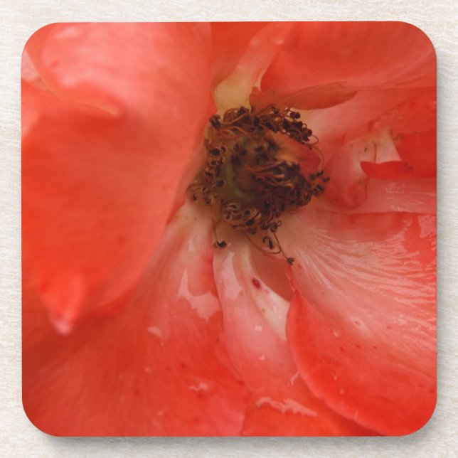 Porta-copo Rosa laranja (Frente)