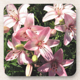 Porta-copo Rosa, lírios asiáticos brancos do rosa