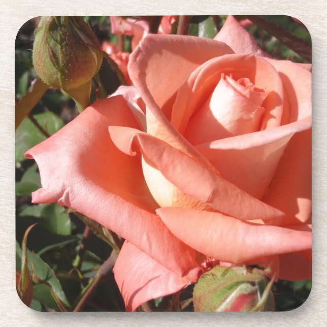 Porta-copo Rosa Rosa Cor-de-rosa (Frente)