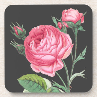 Porta-copo Rosa rosa floral moderno