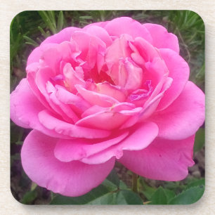 Porta-copo Rosa Rosa Romântica "Leonardo Da Vinci"