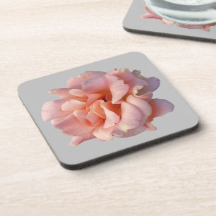 Porta-copo rosa rosa rosa florescente