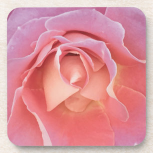 Porta-copo Rosa Rosa Rosa Lusciosa