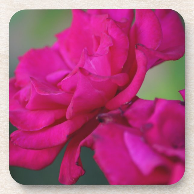 Porta-copo Rosa Rosa Rosa Sangrenta (Frente)