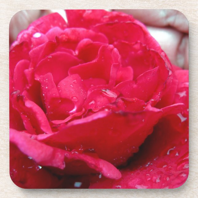 Porta-copo Rosa vermelha (Frente)
