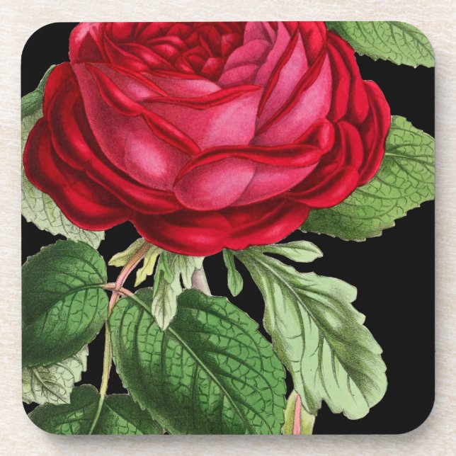 Porta-copo Rosa vermelha (Frente)