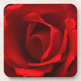 Porta-copo Rosa vermelha