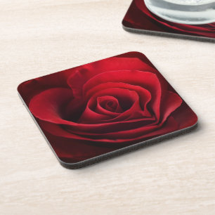 Porta-copo Rosa vermelha dos namorados