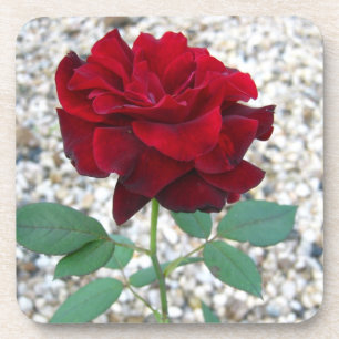 Porta-copo Rosa vermelha Escura