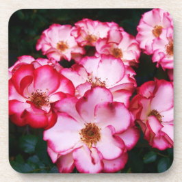 Porta-copo Rosas