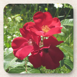 Porta-copo Rosas vermelhas simples