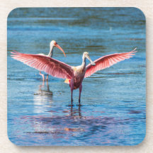 Roseate Spoonbill portas copos com rolha - set 6