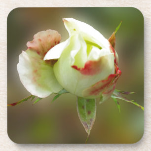 Porta-copo rosebud brilhando