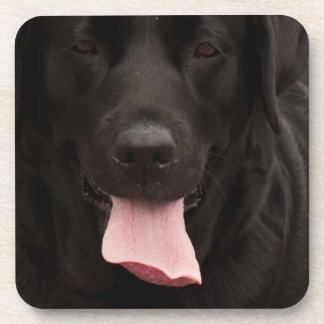 Porta-copo Rosto de cachorro preto