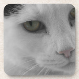 Porta-copo Rostos de gatos pretos e brancos