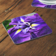 Roxo Japonês Iris Bloom Floral