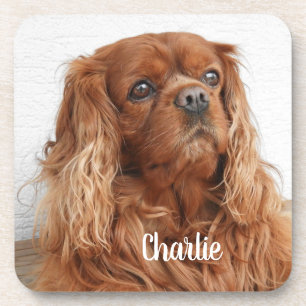 Porta-copo Ruby Cavalier King Charles Spaniel Dog