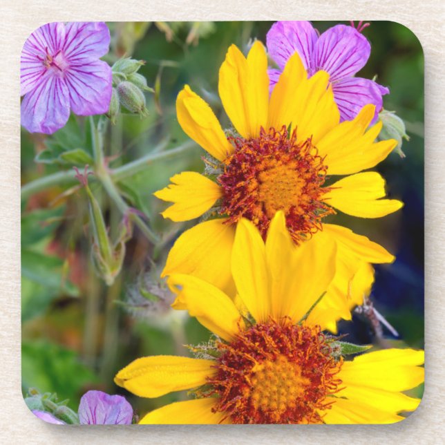 Porta-copo Saco de olhos castanhos e vareta (Frente)