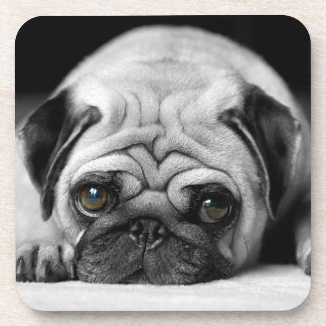 Porta-copo Sad Pug (Frente)