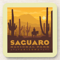 Saguaro Square National Park | Arizona