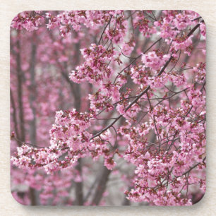 Porta-copo Sakura Cherry Blossoms Fluindo Rosa