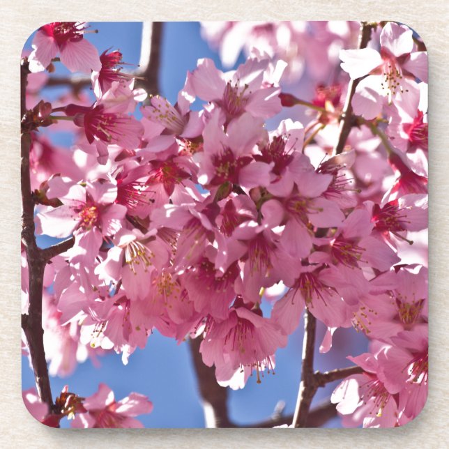 Porta-copo Sakura Flores de Cerejeira Estrelas Vermelhas (Frente)