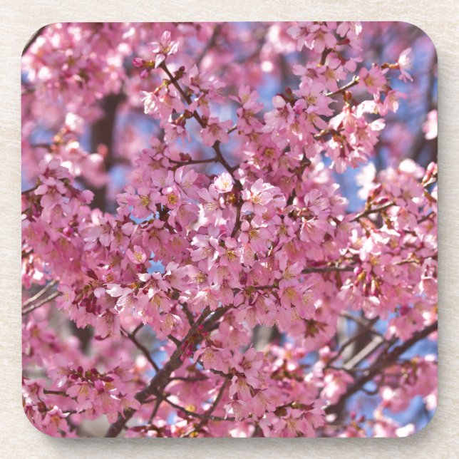 Porta-copo Sakura Pink Chersom Sky (Frente)