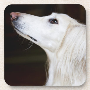 Porta-copo Saluki que olha acima