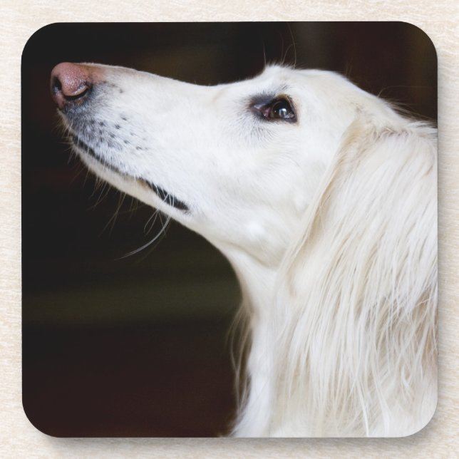 Porta-copo Saluki que olha acima (Frente)