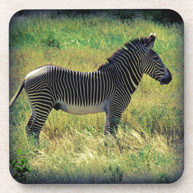Porta-copo Samburu Zebra (Frente)
