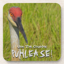 Sand Hill Crane