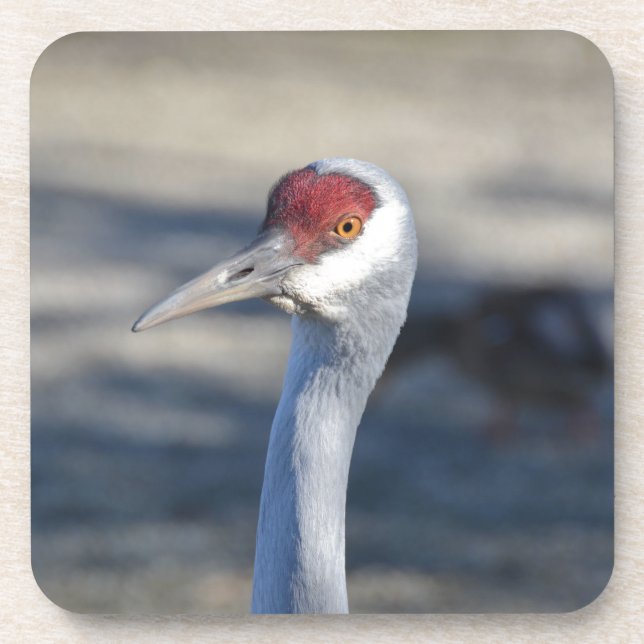 Porta-copo Sandhill Crane (Frente)