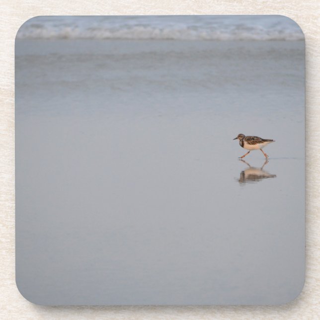 Porta-copo Sandpiper Correndo Ao Longo Da Praia (Frente)