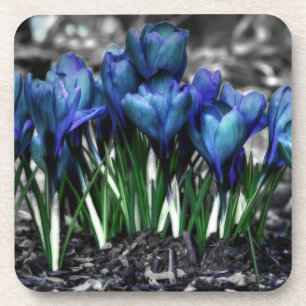 Porta-copo Sangue de Crocus Azul Aqua