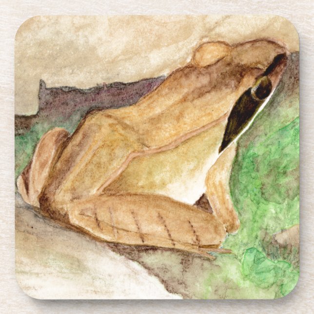 Porta-copo Sapo de madeira Aquarela (Frente)