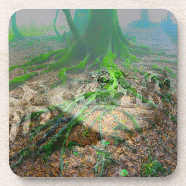 Porta-copo Sapo Mossy (Frente)