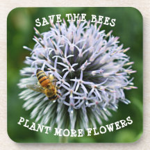 Save the Bees Globe Thistle Floral