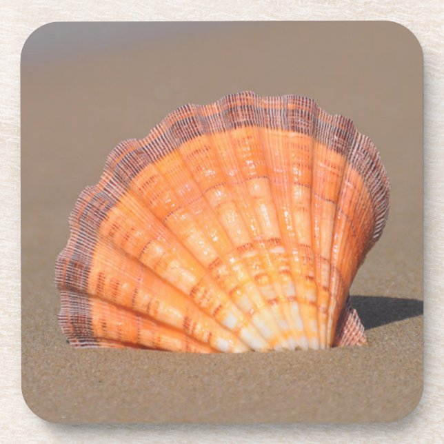 Porta-copo Scallop Shell| Crete, piscina (Frente)