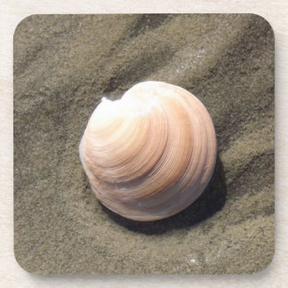 Porta-copo Sea Shell