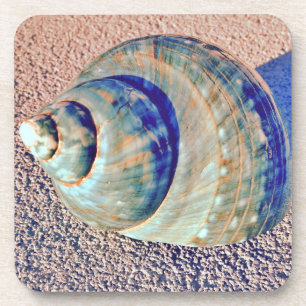 Porta-copo Seashell de Welk do mar