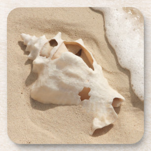 Porta-copo Seashell na ilha das Caraíbas grande do turco da