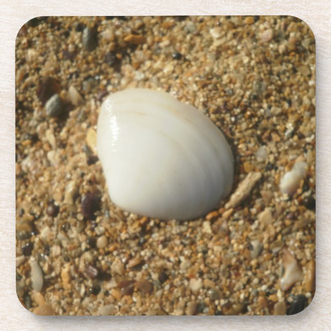 Porta-copo Seashell na praia (Frente)