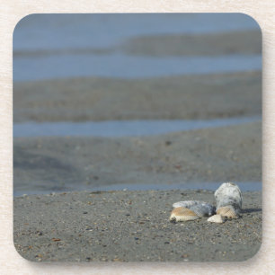 Porta-copo Seashell Pile