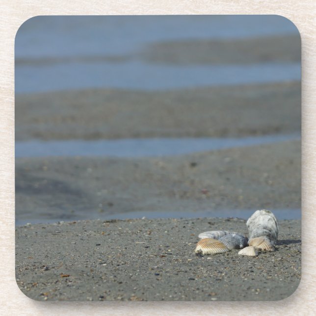 Porta-copo Seashell Pile (Frente)